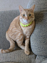 Load image into Gallery viewer, Neon Highlighter Yellow MINI Acrylic [Small Dog/Cat Bead Collar]