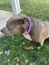 Load image into Gallery viewer, Purple Crush Acrylic Bead Collar