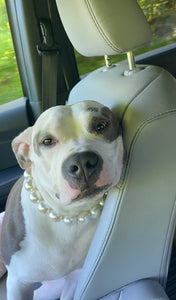 Chunky White Pearls Acrylic Bead Collar