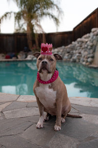 Raspberry Jelly Triplo Acrylic Bead Collar