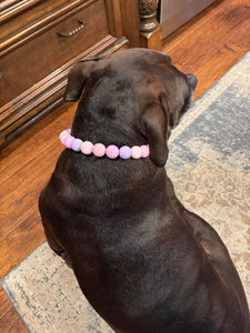 Pretty Princess Acrylic Bead Collar