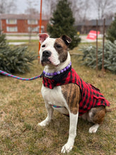 Load image into Gallery viewer, Purple Ombre Acrylic Bead Collar