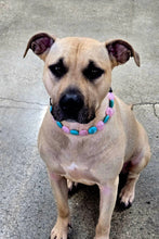 Load image into Gallery viewer, Bubblegum Waves Coin Bead Collar