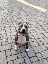 Load image into Gallery viewer, Times Square 🪩 Duplo Acrylic Bead Collar