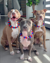 Load image into Gallery viewer, Star Spangled Bead Collar