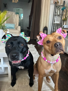 🌼 Pink Ombre Daisies 🌼 Silicone Bead Collar