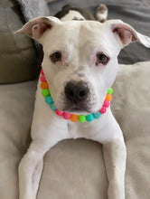 Load image into Gallery viewer, Tropical Punch Bead Collar