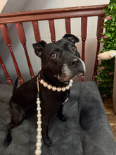 Load image into Gallery viewer, White Pearl Wedding Leash
