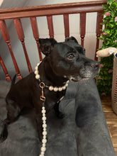 Load image into Gallery viewer, White Pearl Wedding Leash