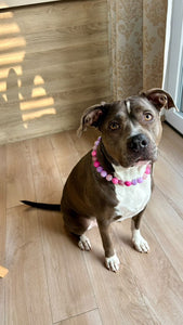 Pink Sugar Bead Collar