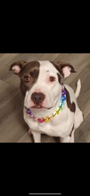 Load image into Gallery viewer, Rainbow Jellyfish 🌈 Acrylic Bead Collar [SALE]