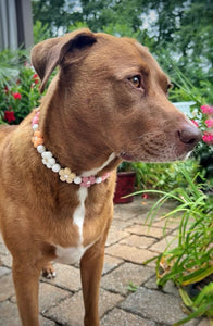 🌼 Vintage Daisies 🌼 Silicone Bead Collar