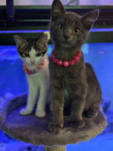 Load image into Gallery viewer, Pink Sugar MINI [Small Dog/Cat Bead Collar]