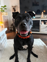 Load image into Gallery viewer, PERSONALIZED Jack O' Lantern Bead Collar