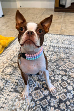Load image into Gallery viewer, Extra Tiny (XS) Triplo Cotton Candy [Small Dog/Cat Bead Collar]
