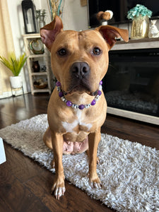 Purple Skull Candy Bead Collar