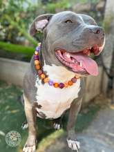 Load image into Gallery viewer, Velvet Autumn Bead Collar