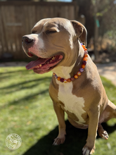 Load image into Gallery viewer, Velvet Autumn Bead Collar