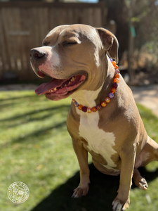 Velvet Autumn Bead Collar