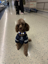 Load image into Gallery viewer, Dallas Cowboys NFL Inspired 🏈 Bead Collar