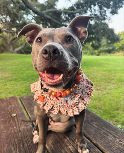 Autumn Leaves 🍂 Bead Collar