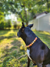 Load image into Gallery viewer, Autumn Leaves 🍂 Bead Collar