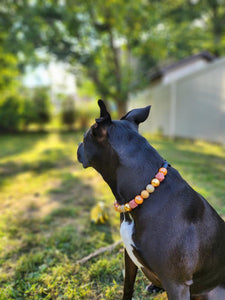 Autumn Leaves 🍂 Bead Collar