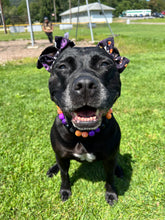 Load image into Gallery viewer, Witching Hour Halloween Bead Collar