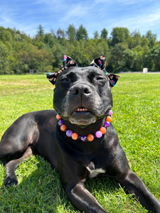 Spellbound Bead Collar