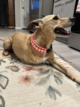 Load image into Gallery viewer, Watermelon Pink Triplo Acrylic Bead Collar