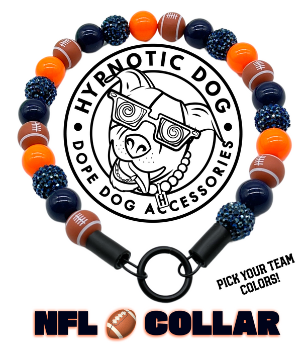 🏈 Football NFL Team Colors Bead Collar