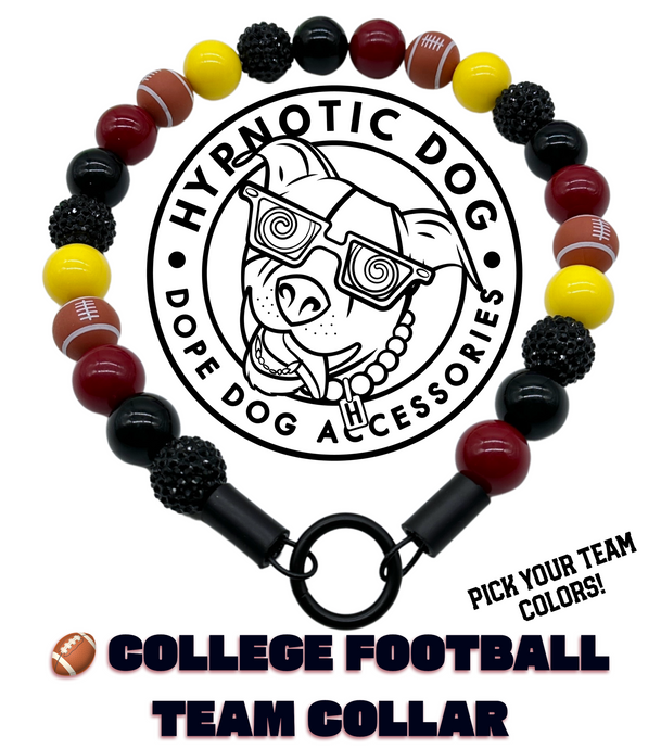 🏈 College Football Team Colors Bead Collar