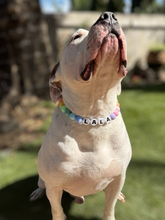 Load image into Gallery viewer, PERSONALIZED Pastel Rainbow Acrylic + Letters Bead Collar