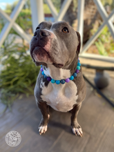 Load image into Gallery viewer, Cookie Monster Bead Collar