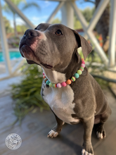 Load image into Gallery viewer, Rainbow Sherbet Bead Collar