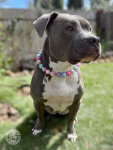 Load image into Gallery viewer, Daisies Glam 🌼 Bead Collar