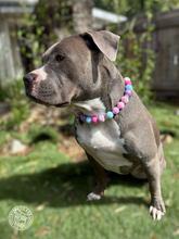 Load image into Gallery viewer, Daisies Glam 🌼 Bead Collar