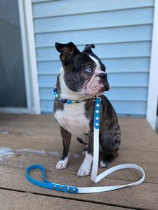 4 Foot Waterproof Leash ◻️