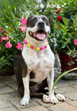 Load image into Gallery viewer, Electric Avenue Bead Collar
