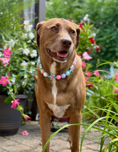 Load image into Gallery viewer, Miami Star ⭐️ Bead Collar