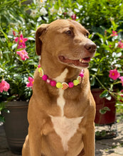 Load image into Gallery viewer, Electric Avenue Bead Collar