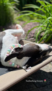 Minty Sweet Acrylic Bead Collar