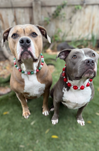 Load image into Gallery viewer, Jumbo Santa Baby Bead Collar