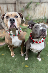 Jumbo Santa Baby Bead Collar