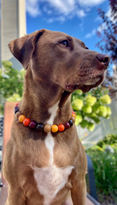 Diablo Bead Collar