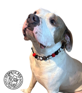 Friday the 13th Bead Collar - SALE