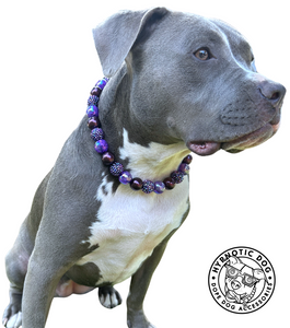 Midnight Purple Glam Bead Collar