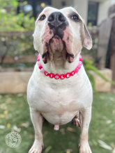 Load image into Gallery viewer, PERSONALIZED Pink Glitter Supernova Bead Collar