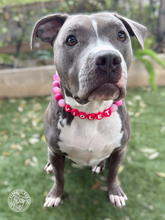 Load image into Gallery viewer, PERSONALIZED Pink Glitter Supernova Bead Collar