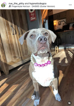 Load image into Gallery viewer, PERSONALIZED Violet Daisy Bead Collar
